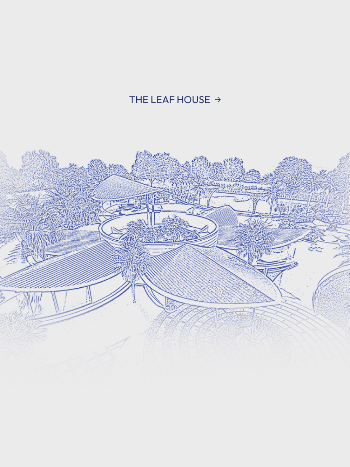 The leaf house