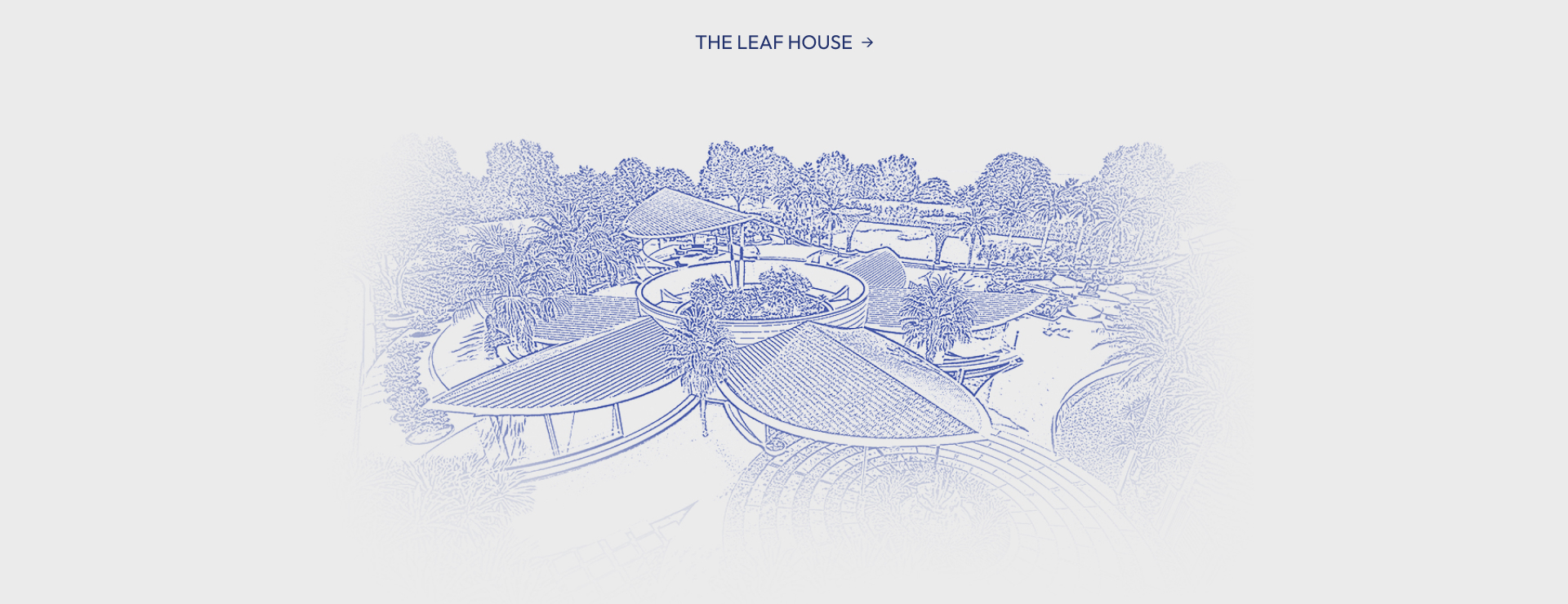 the leaf house